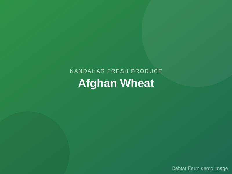 Afghan Wheat