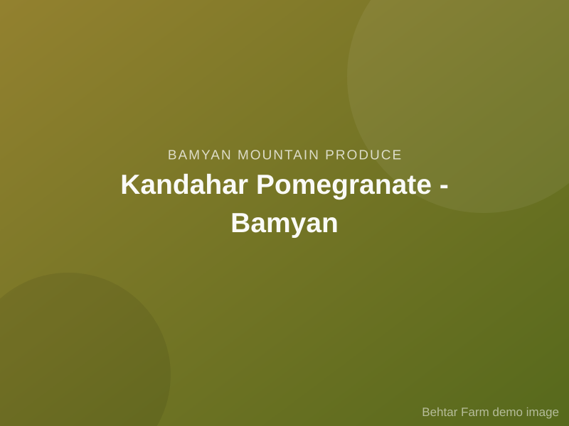 Kandahar Pomegranate - Bamyan