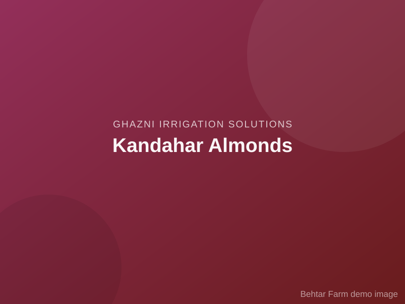 Kandahar Almonds