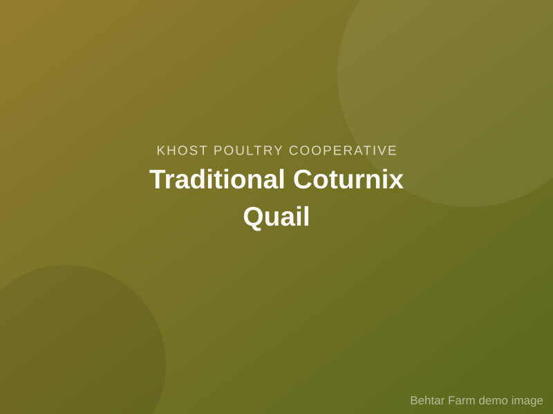 Traditional Coturnix Quail