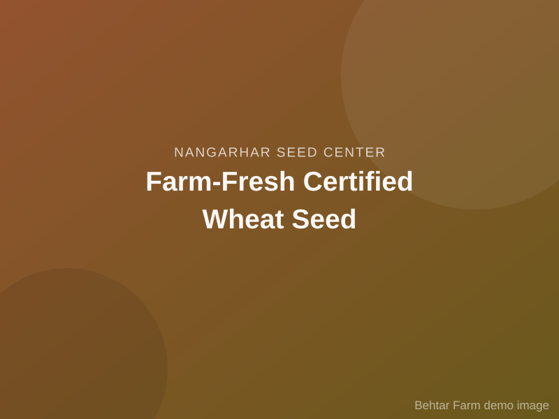 Farm-Fresh Certified Wheat Seed